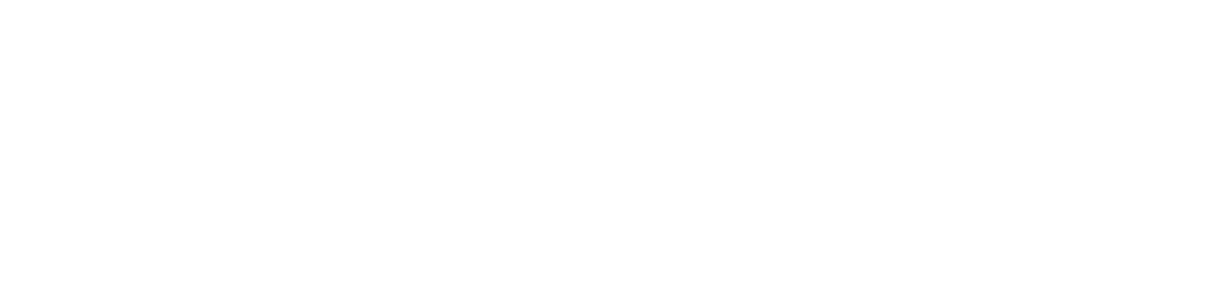 BlueOwlLogos-OnWhite-horizontal-lp